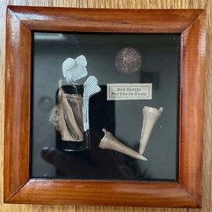 golf Clubs Tee Balls collectible art Glass case Wood Frame Memory Shadow Box